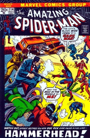 Amazing Spider-Man Vol. 1 #114