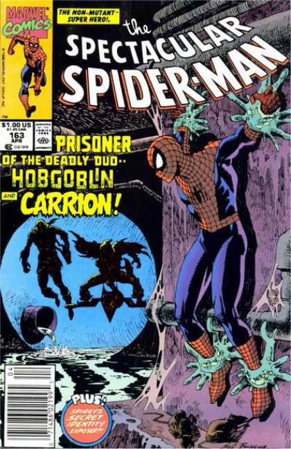 The Spectacular Spider-Man Vol. 1 #163
