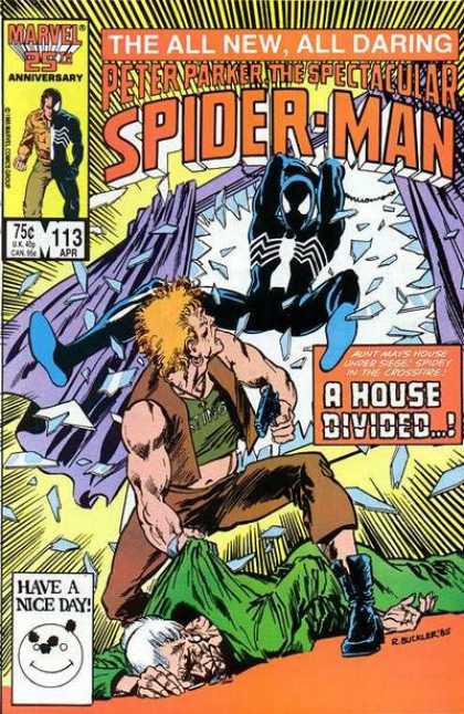Peter Parker: The Spectacular Spider-Man Vol. 1 #113
