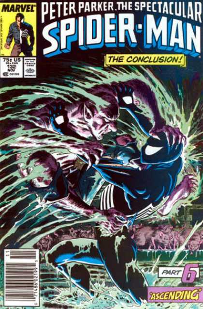 Peter Parker: The Spectacular Spider-Man Vol. 1 #132