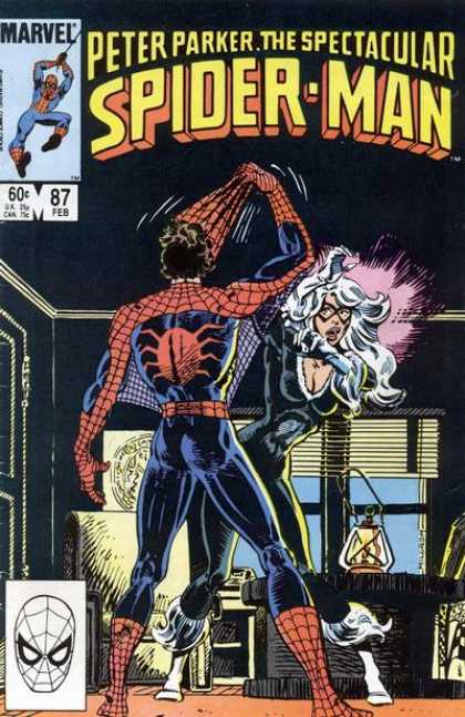 Peter Parker: The Spectacular Spider-Man Vol. 1 #87