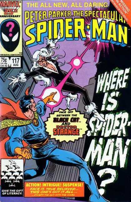 Peter Parker: The Spectacular Spider-Man Vol. 1 #117