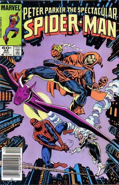 Peter Parker: The Spectacular Spider-Man Vol. 1 #85