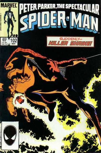 Peter Parker: The Spectacular Spider-Man Vol. 1 #102