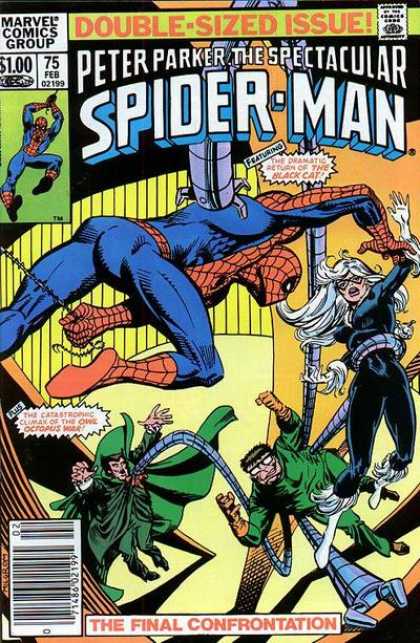 Peter Parker: The Spectacular Spider-Man Vol. 1 #75