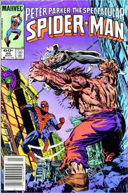 Peter Parker: The Spectacular Spider-Man Vol. 1 #88