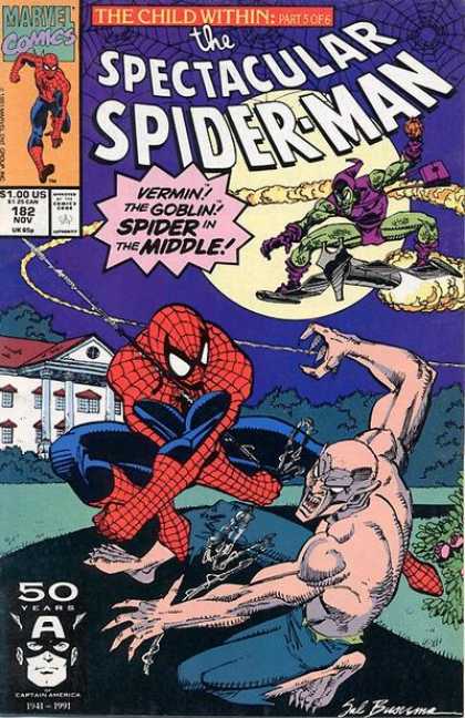 The Spectacular Spider-Man Vol. 1 #182