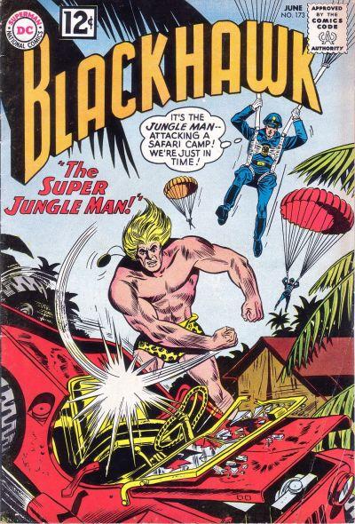 Blackhawk Vol. 1 #173