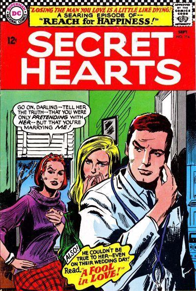 Secret Hearts Vol. 1 #114