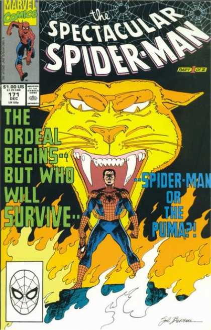 The Spectacular Spider-Man Vol. 1 #171