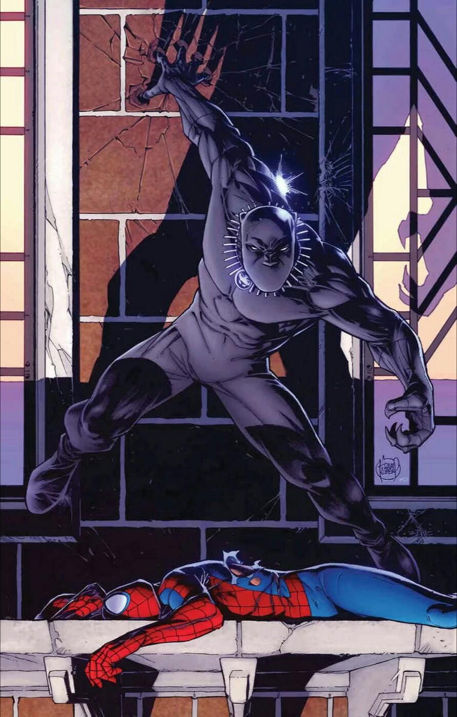 Peter Parker: The Spectacular Spider-Man Vol. 1 #298
