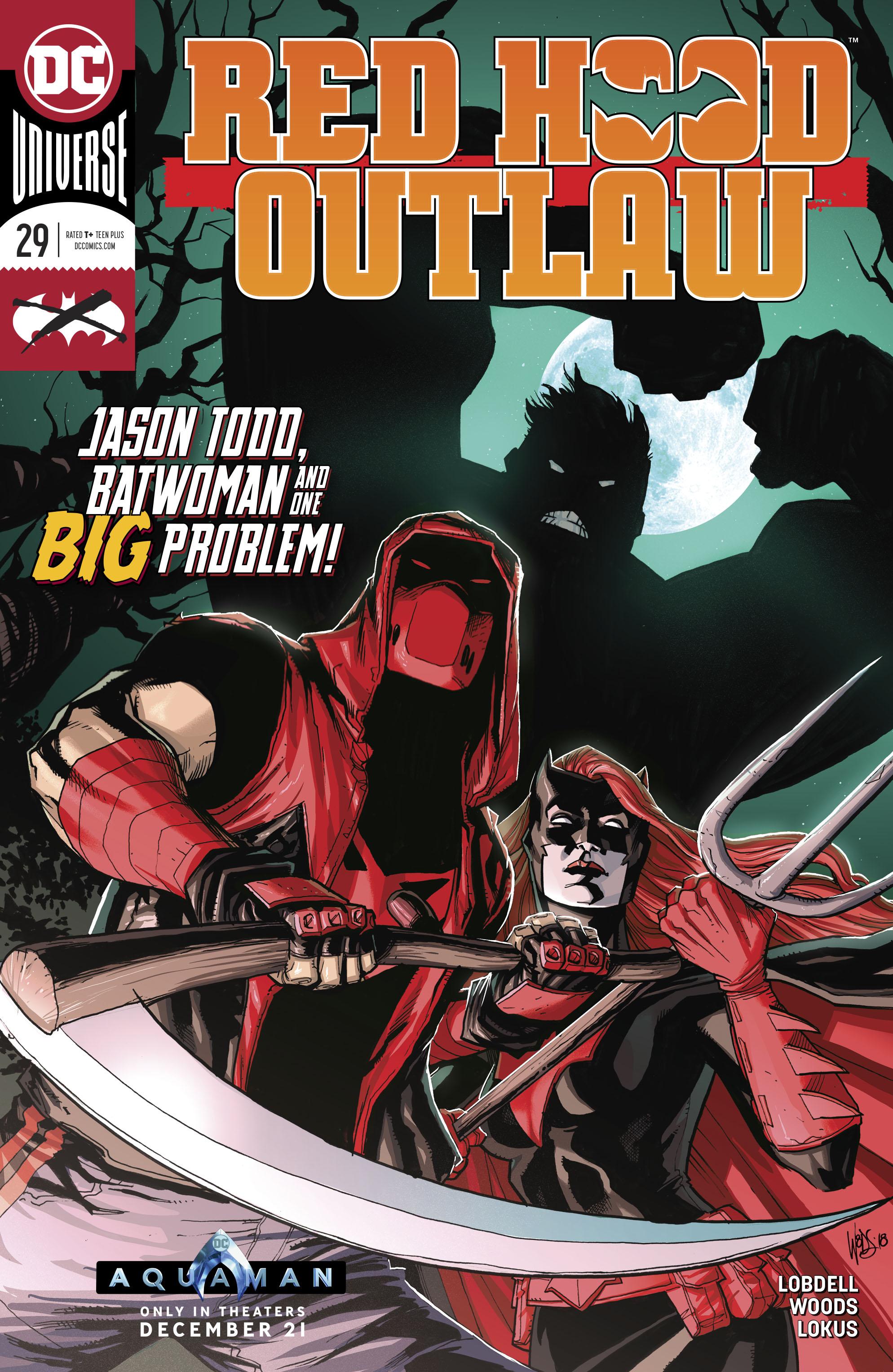 Red Hood and the Outlaws Vol. 2 #29
